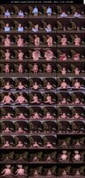 SIVR-503 博多彩葉