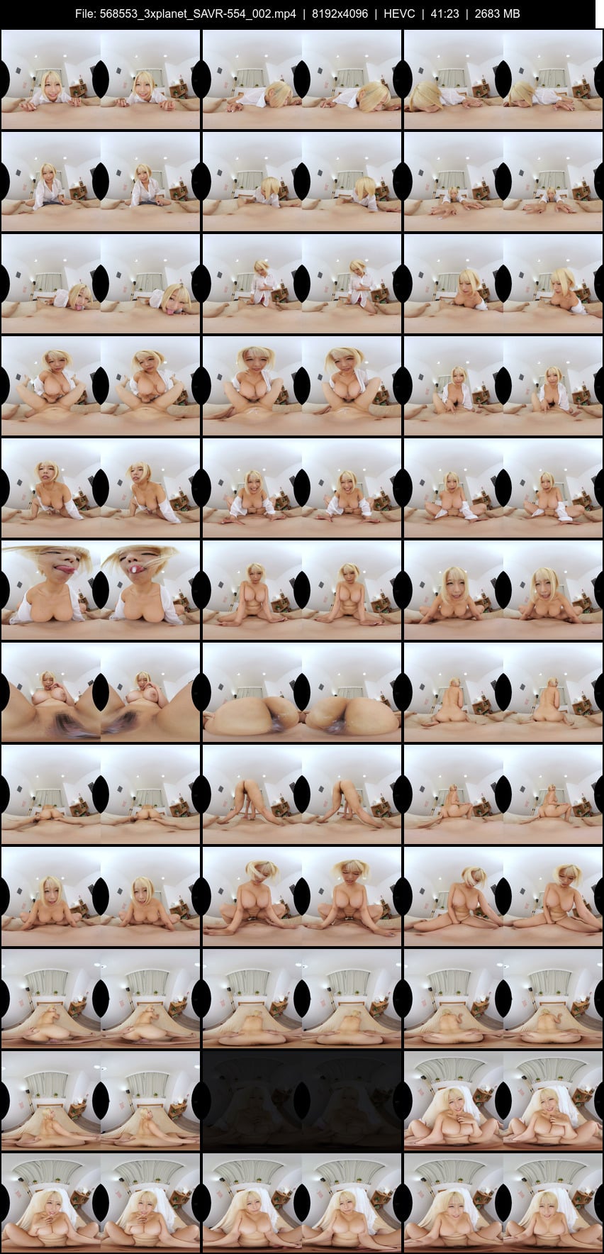 SAVR-554 screens previewer