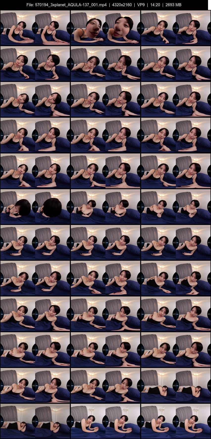 AQULA-137 screens previewer