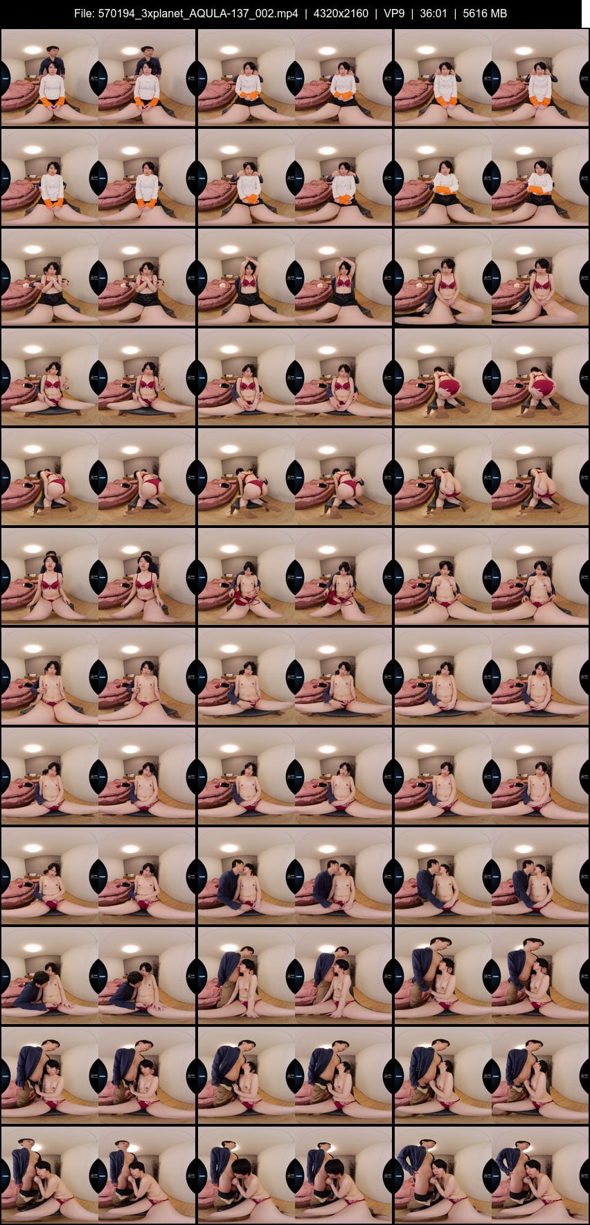 AQULA-137 screens previewer