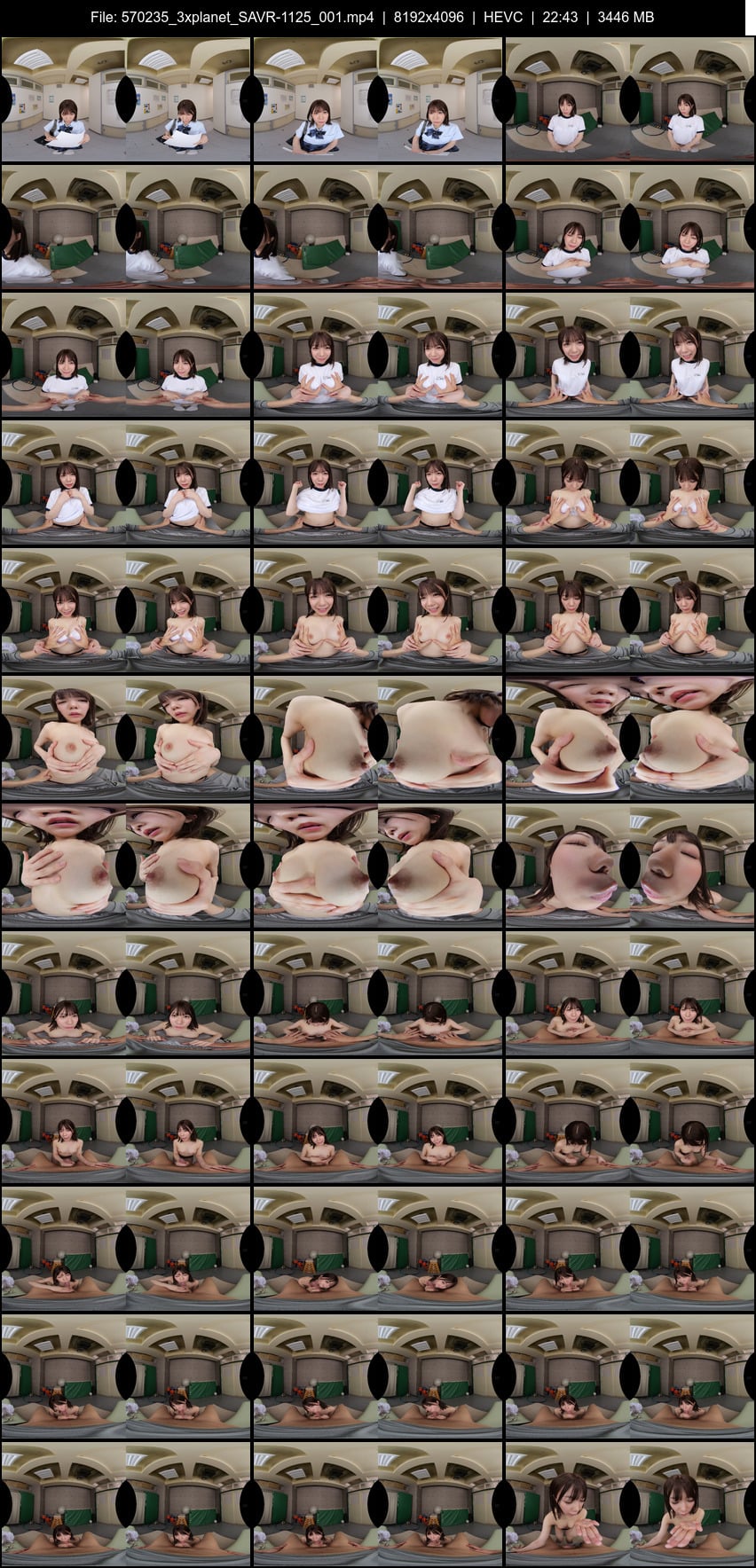 SAVR-1125 screens previewer