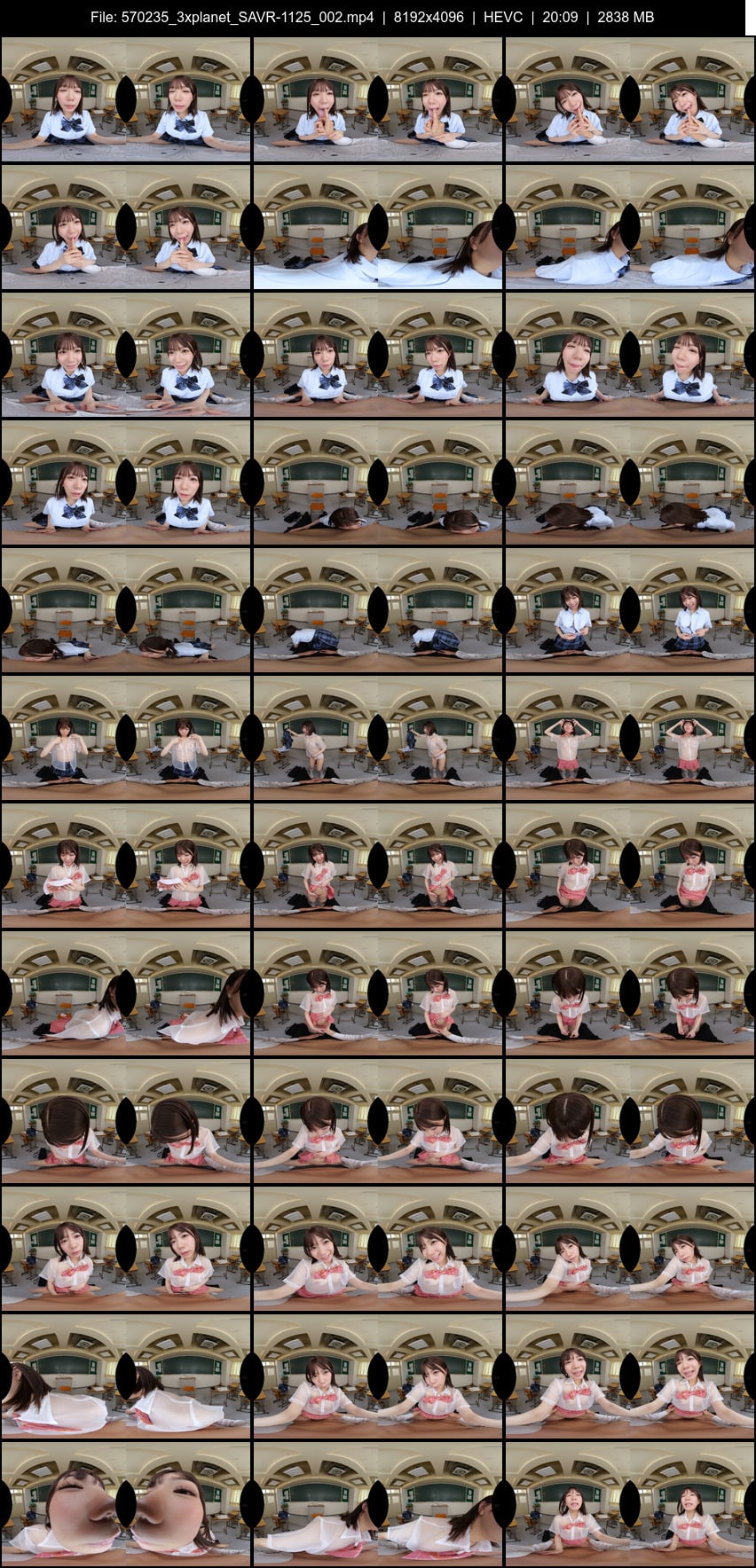 SAVR-1125 screens previewer