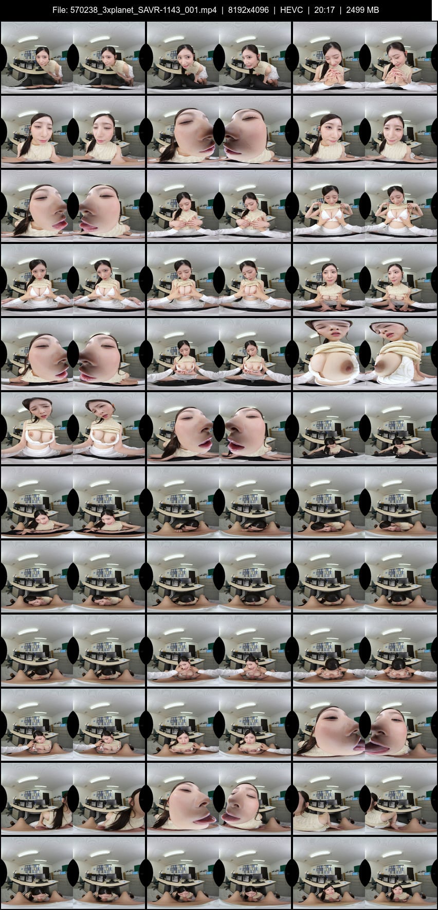 SAVR-1143 screens previewer