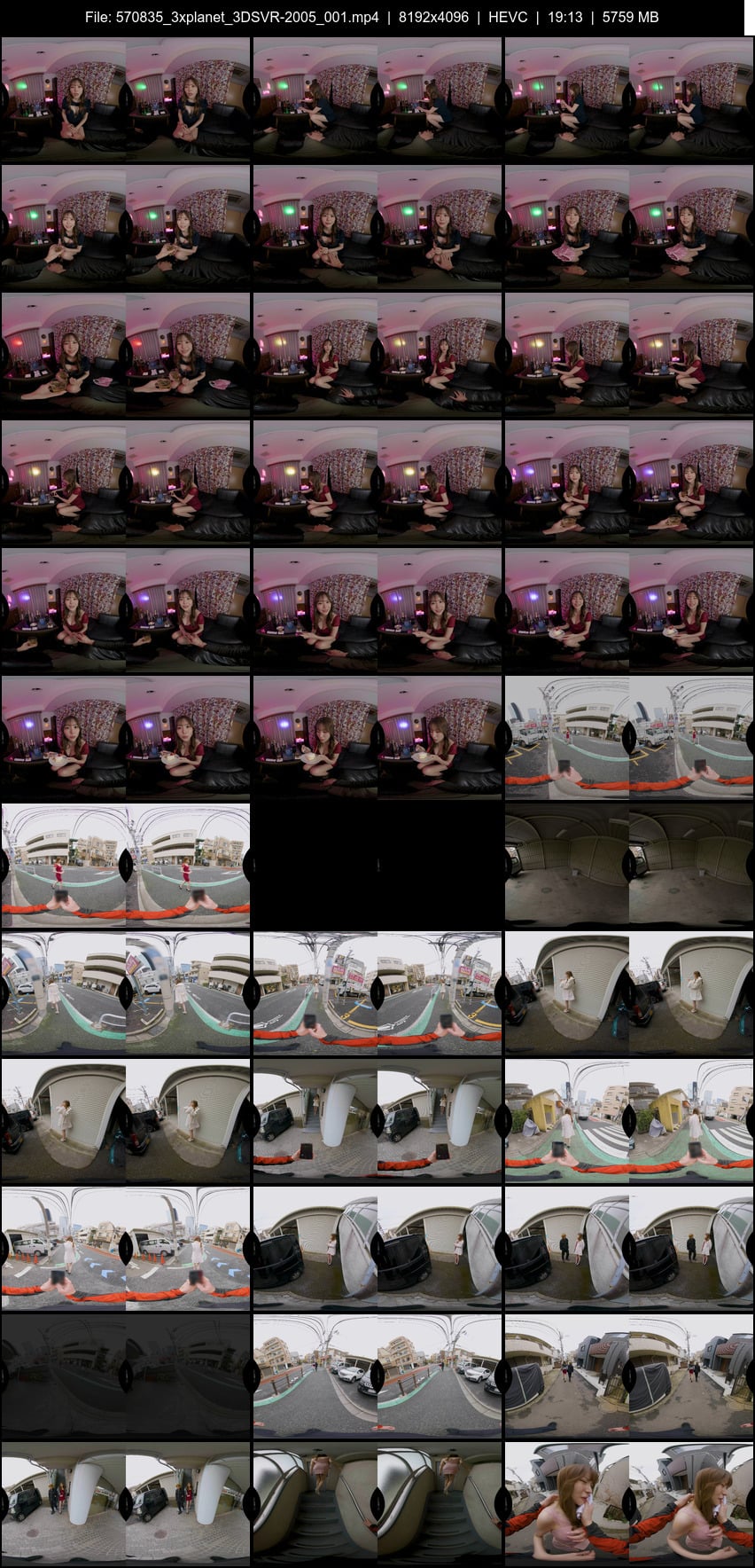 3DSVR-2005 screens previewer