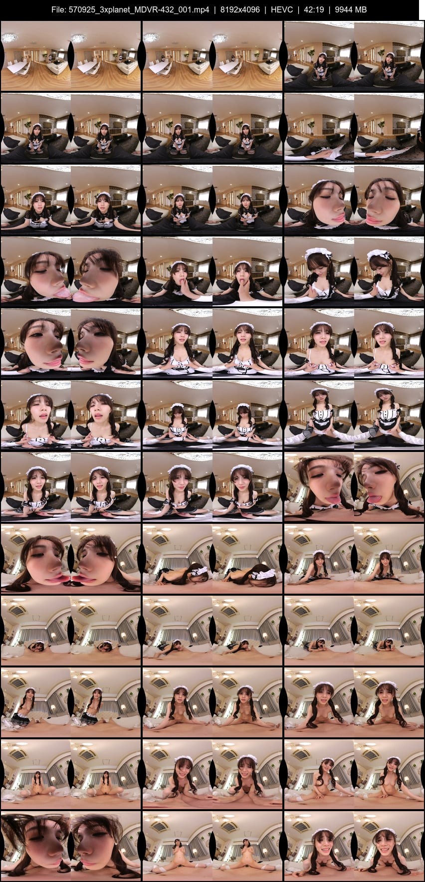 MDVR-432 screens previewer