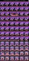 CJVR-057 羽月乃蒼