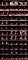 SBGVR-014 羽月乃蒼
