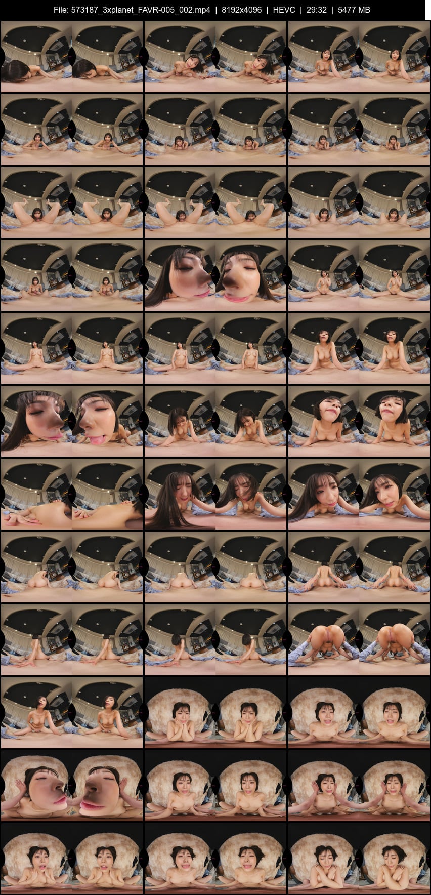 FAVR-005 screens previewer