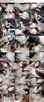 FC2-PPV-4961394 amateur