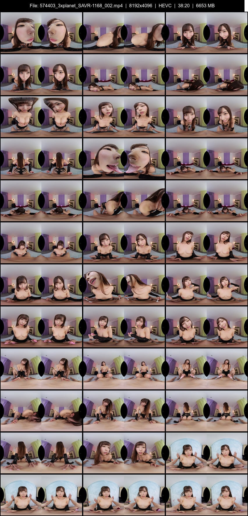 SAVR-1168 screens previewer