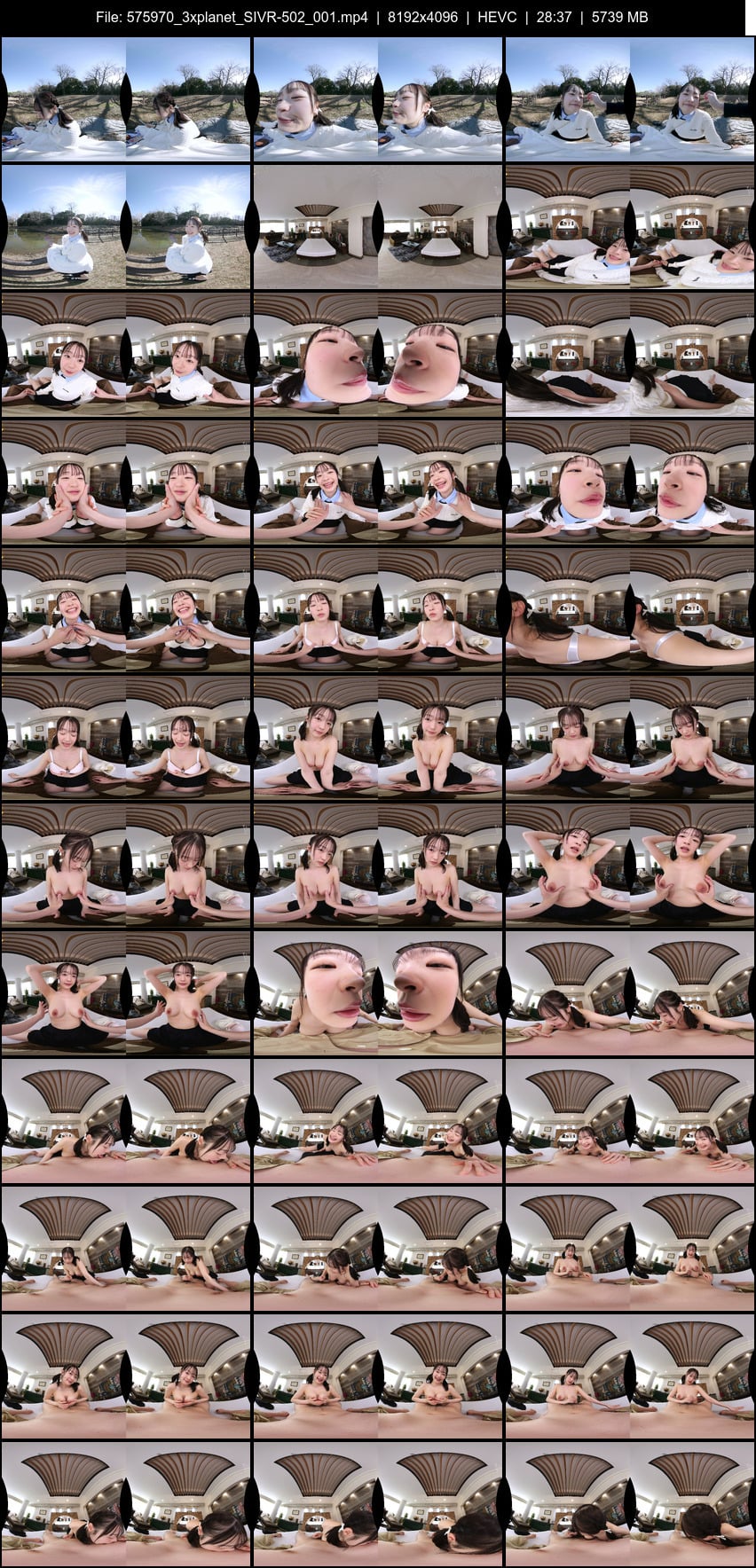 SIVR-502 screens previewer