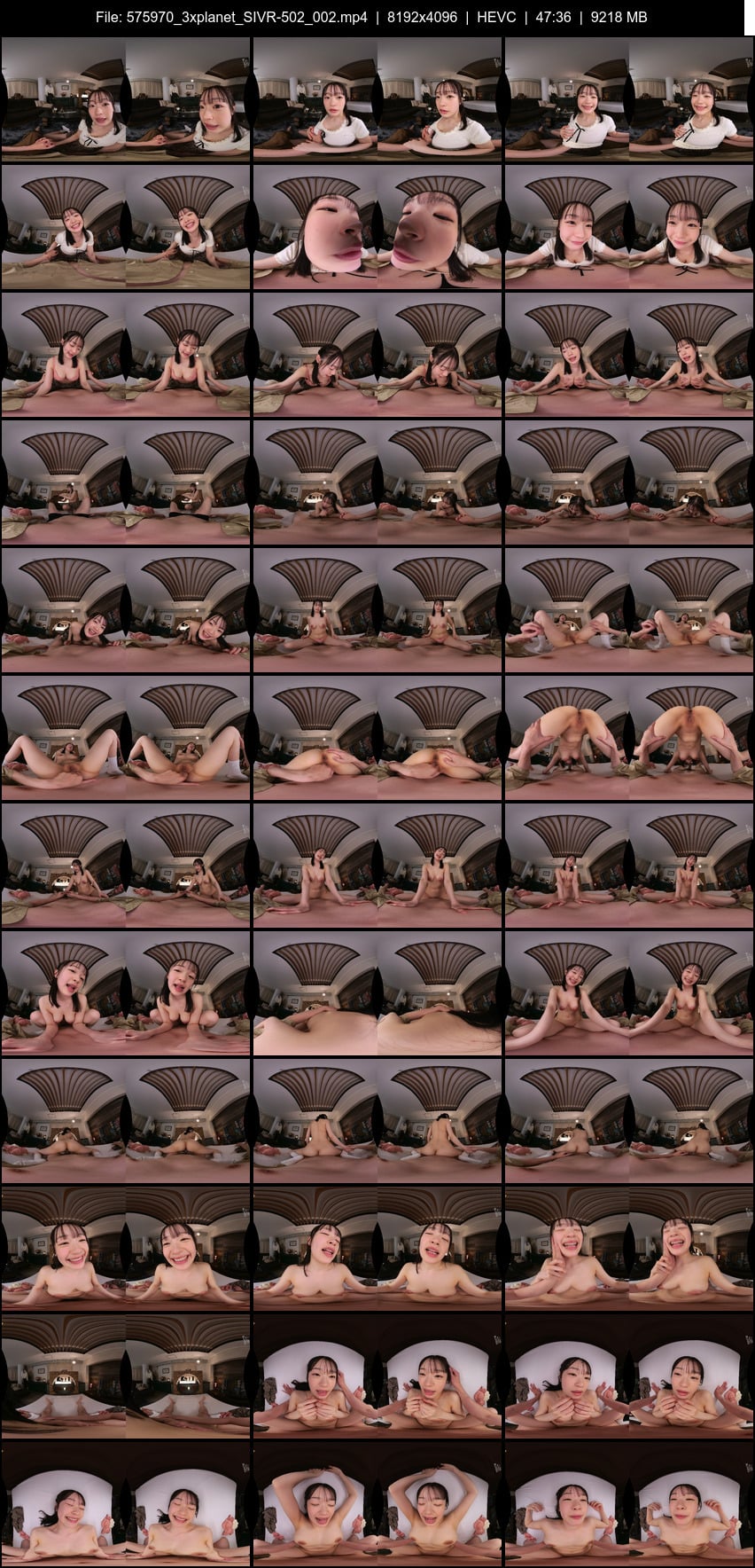 SIVR-502 screens previewer