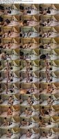 FC2-PPV-4977322 amateur